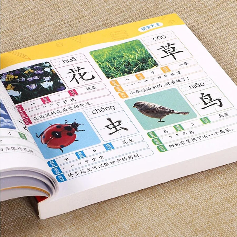 

1280 Words Chinese Books Learn Chinese First Grade Teaching Material Chinese Characters Picture Book For Kids Age 2-5 Years old