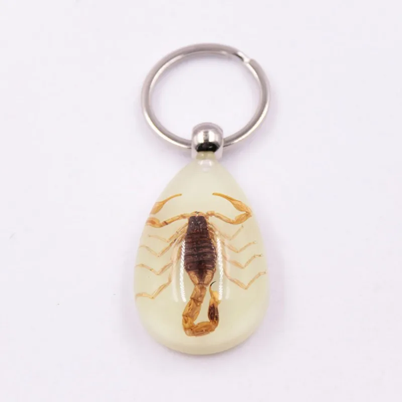 Фосфоресцирующий держатель для ключей Сумочка Кошелек подвеска креативный брелок для ключей «Скорпион» Скорпион янтарные подвесные брелоки