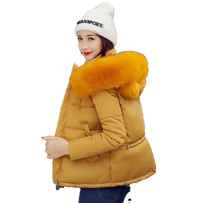 

2018 Winter New Style Cotton-padded Clothes Women's Short Cotton Coat Small Cotton-Padded Jacket Student Uniform Cropped Jacket