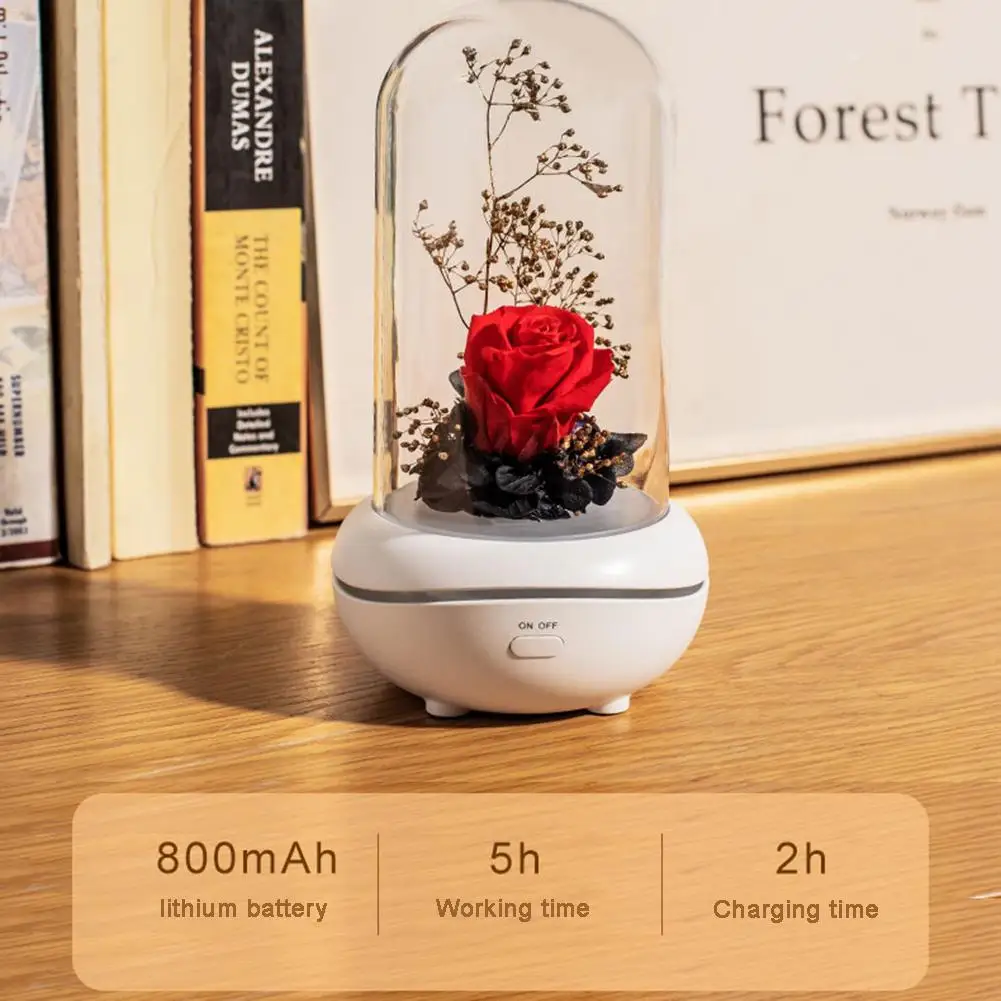 Forever Rose лампа для ароматерапии Mini USB Led ночник красочная настольная лампа Рождественский подарок на день Святого Валентина Декор для спальни