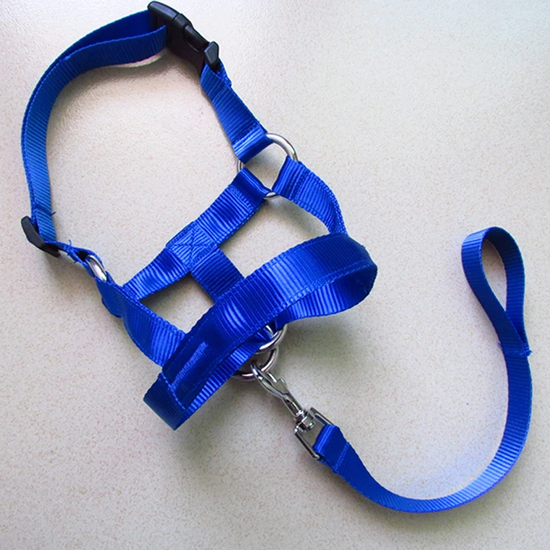 Creative Dog Halter Halti Training Head Collar Gentle Leader Harness Polyester Breakaway All Seasons Usefull Harnesses Lead Hot