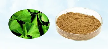 

Ginkgo Biloba 3000mg And Korean Ginseng 1000mg High Quality 120pcs for health