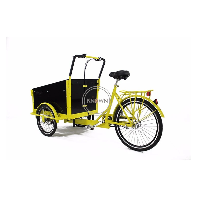 Bicicleta eléctrica de carga familiar para adulto, triciclo para y compra de comestibles, 6 velocidades de 250w, personalizable, nuevo diseño|Procesadores de alimentos| - AliExpress