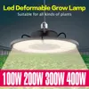 Plant Lamp LED Full Spectrum Grow Light White E27 100W 200W 300W 400W LED Growing Box Light E26 Hydroponic LED Bulb Phyto Lamp ► Photo 2/6