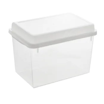 

Japanese Imported Large Freshness Box Plastic Toast Box Bread Box Food Preservation Rectangular Storage Box Storage Glove Box