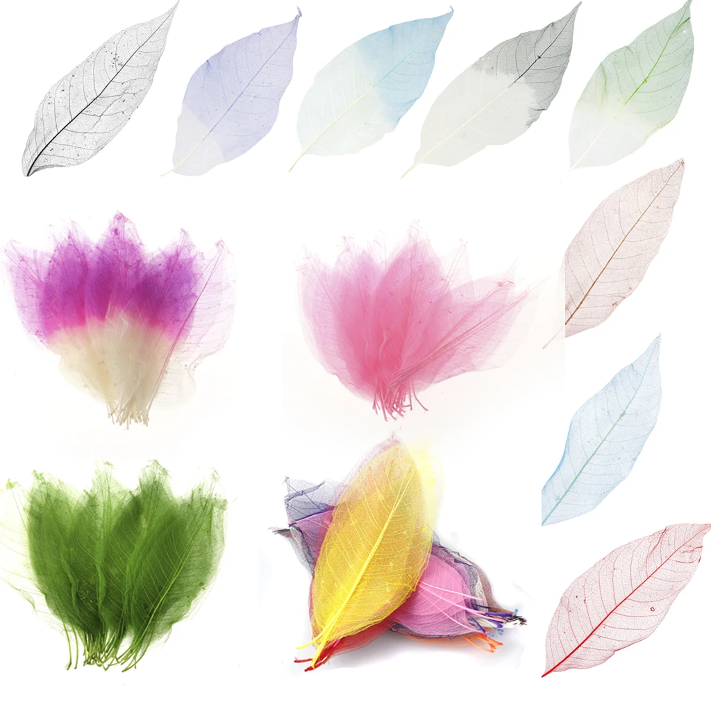 Pack of 50 Natural Skeleton Leaves Scrapbooking Craft DIY Wedding Invitation White