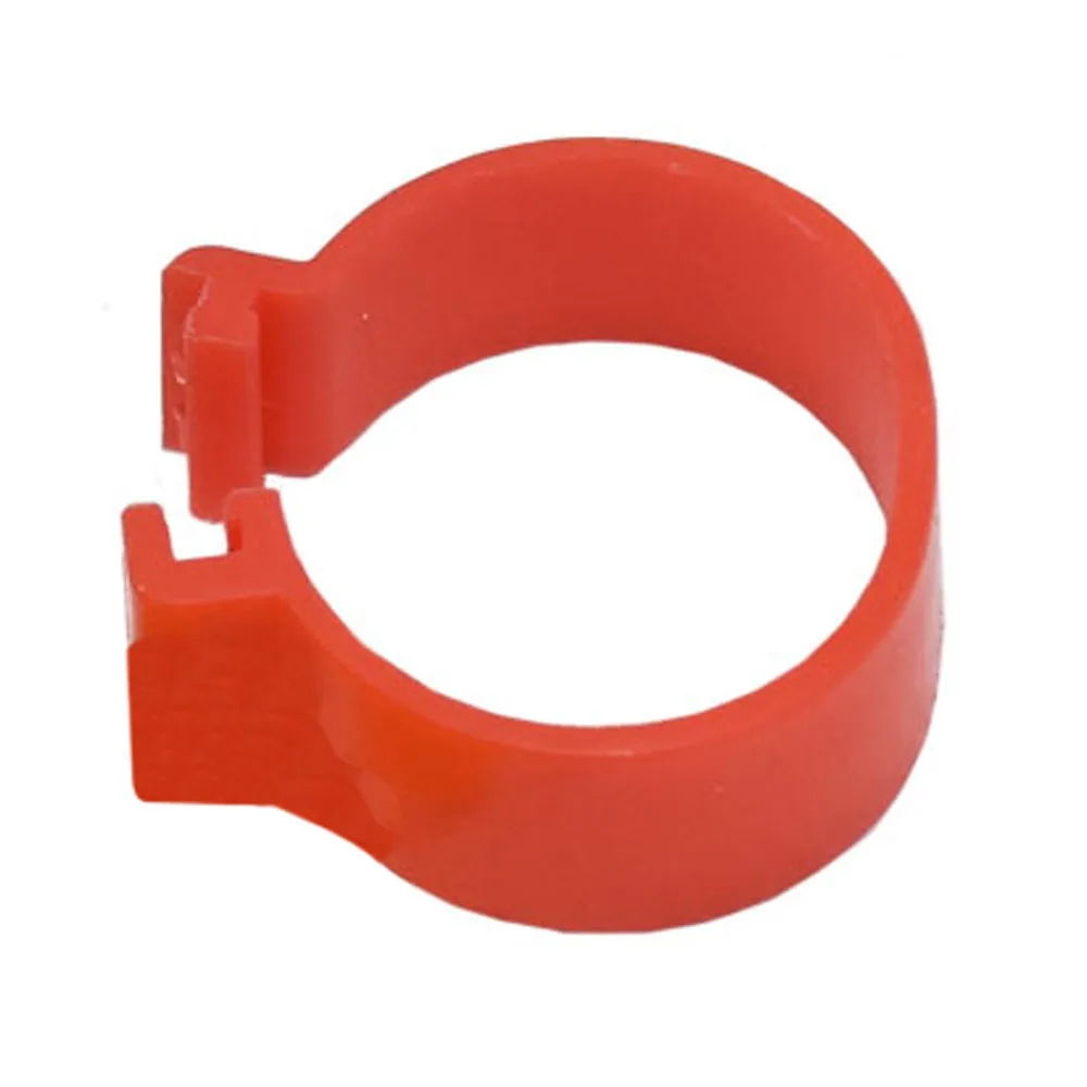 DSC_5462 - 副本 (5) - 副本 - 副本