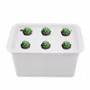 Garden Supplies
