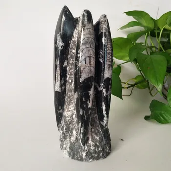 

Natural stones crystals Right Angle fossil mineral specimen, home decoration research and teaching stone