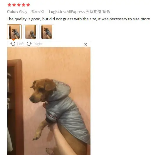 QQ截图20191222212045