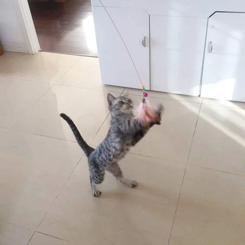 Игрушки для котят BMBY-Cat, игрушки для котят, набор различных игрушек, включая интерактивное перо, манок, мышонок, мячи радуги Ba