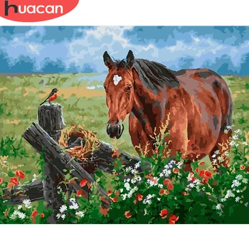 

HUACAN Painting By Number Horse Drawing On Canvas HandPainted Painting Art Gift DIY Pictures By Number Animal Kits Home Decor
