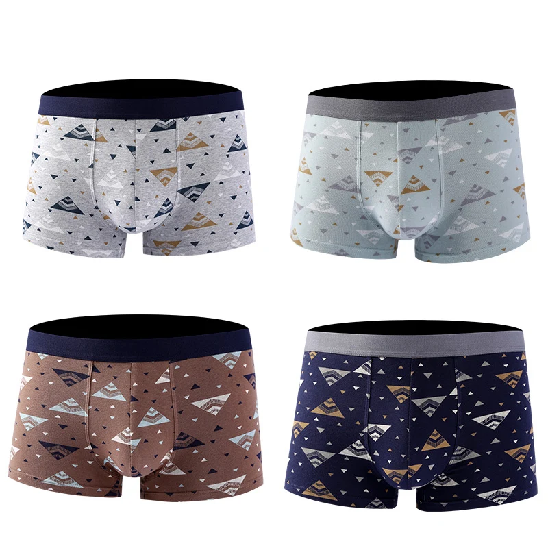 4 предмета/лот размера плюс Хлопковые трусы Для мужчин нижнее белье органический