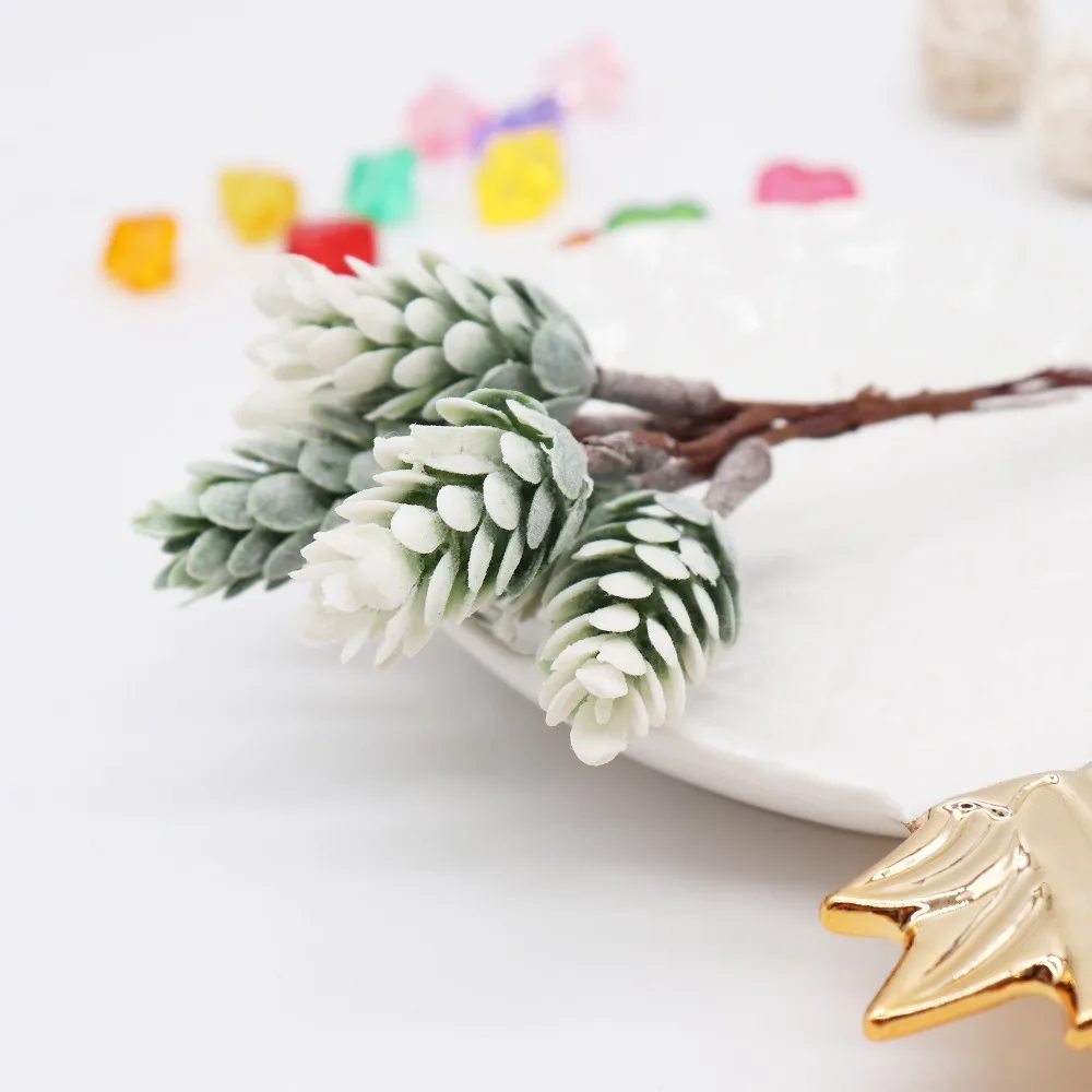 HTB1w6S1cQxz61VjSZFtq6yDSVXaR