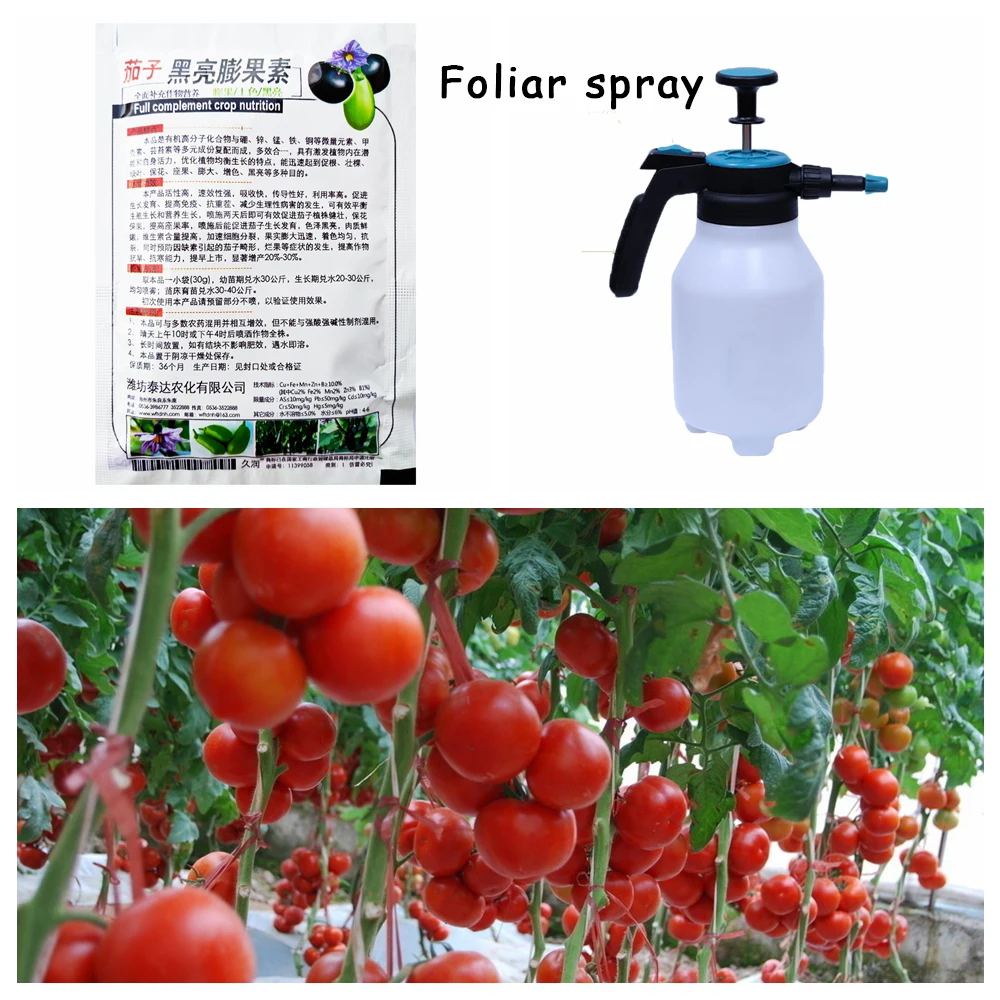 光影魔术手12拼图