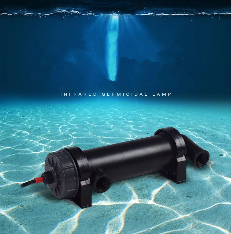 11324729603_979257831_副本