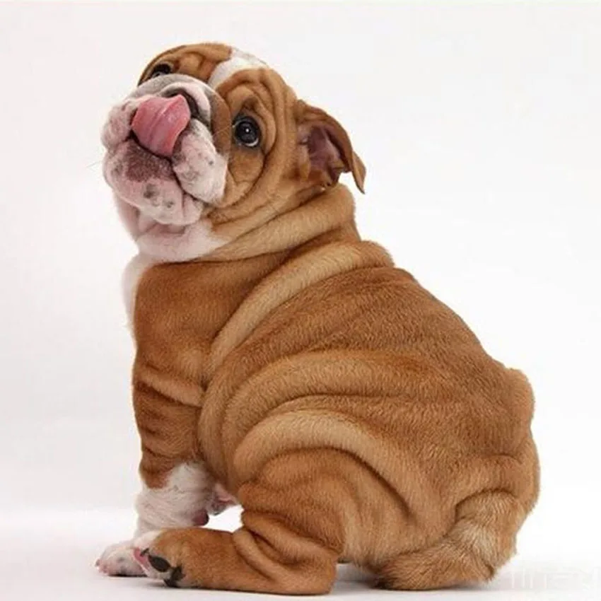 

Youran DIY Full Drill Diamond Painting Mosaic Making Kit Flower Wine Glass Dining Room Resturant Wall Decoration Picture