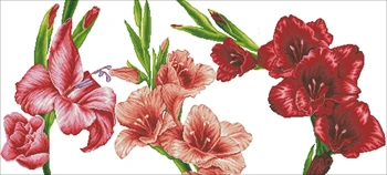 

Genuine Product Egypt Long-staple Cotton Self-Made cross stitch kits Suite STC-100824 Gladiolus