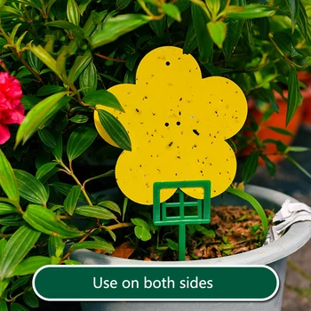 

12pcs Two Sided Glue Insect Sticky Board Bug Fly Trap Glue Paper Pest Repellent Board for Home Garden Yard