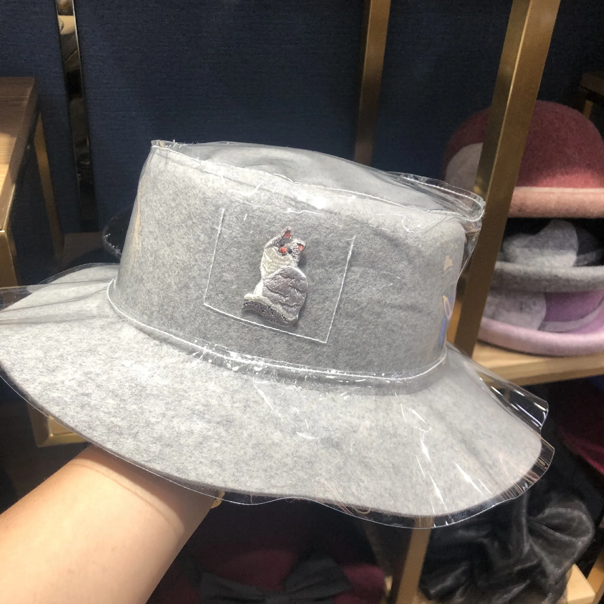 

01908-fu158849523 winter cat embroidery pvc lady Fashion transparency fedoras cap women leisure hat