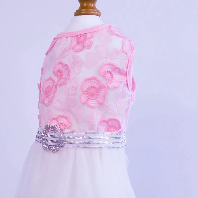 DRESS5