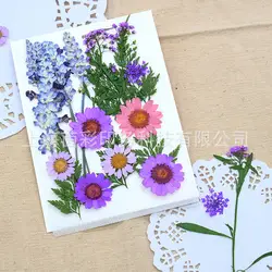 Фиолетовый узор, хлопок, настоящие цветы, настоящий лист, макияж, сушеные цветы, листья, смешанные сушеные цветы, сумка, спрессованные цветы