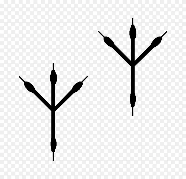 猫头鹰脚印剪贴画