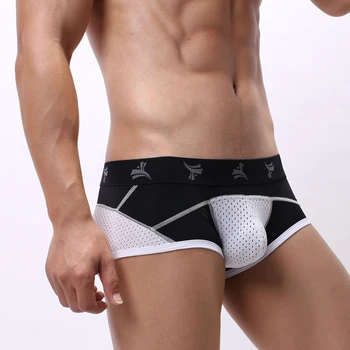 

Men Underwear Boxer Sexy Mesh Pouch Boxers Breathable Man Cueca Male Panties Boxershort Lingerie Homme Underpants Plus Size