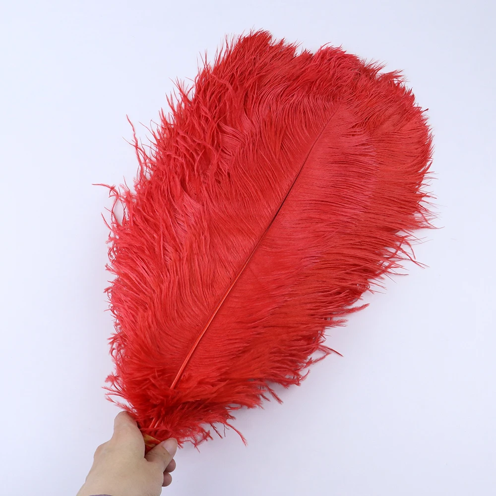 TS0145303 45-50cm ostrich feathers 3