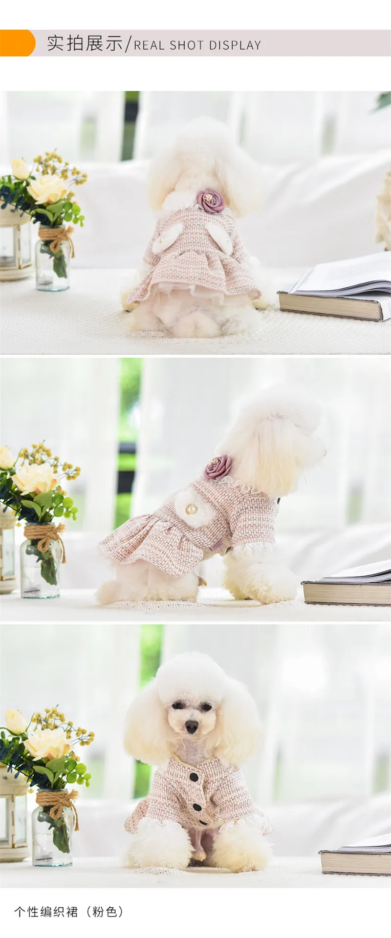 New Pet Dog Clothes Autumn and Winter New Teddy Small Dog Cat Warm Princess Dress Thickened Party Costume Dog Coat