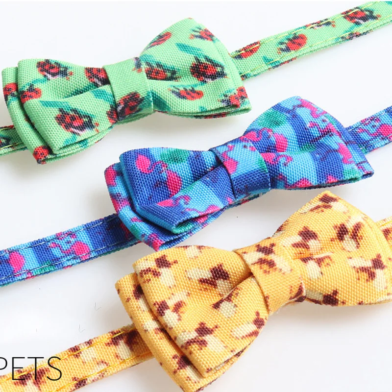 16979821126_307791824