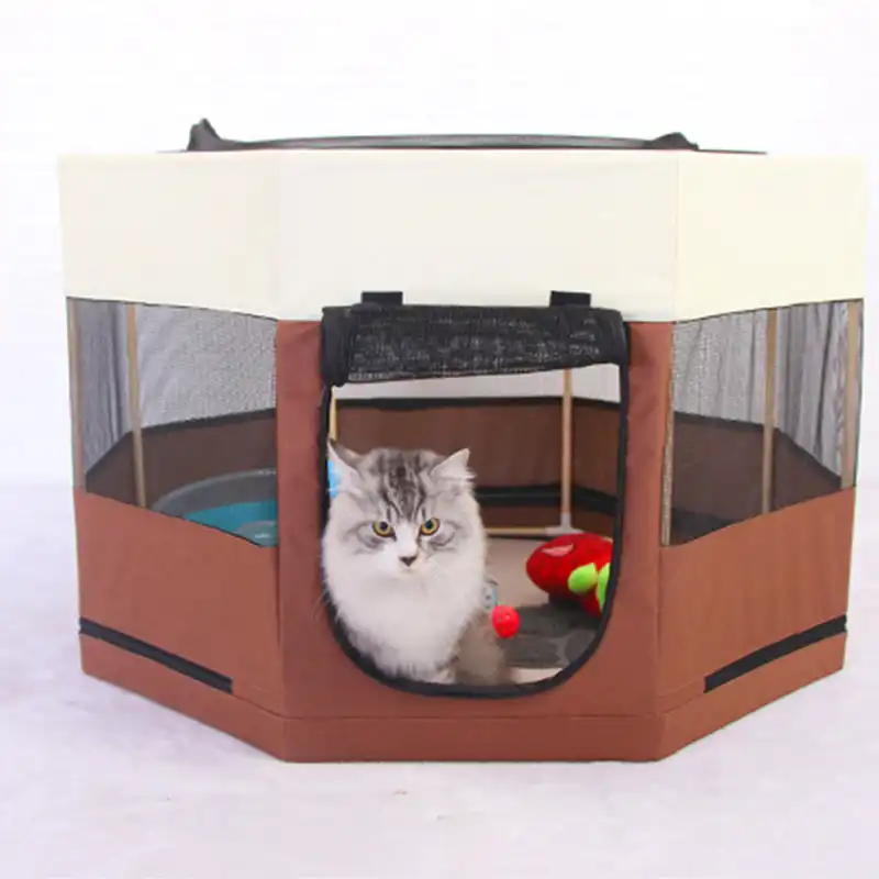 portable cat tent