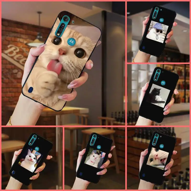 

Cats photos cute funny Phone Case For Xiaomi Redmi 7 9t a3Pro 9se k20 mi8 max3 lite 9 note 8 9s 10 pro