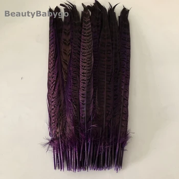 

Directly Dyed Purple Ringneck Pheasant feathers 25-30cm 10-12inch Natural Pheasant Tails For crafts Making Carnival Decorations