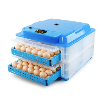 Incubadora de huevos automática de gran capacidad, suministro de Doble potencia de China, termostato con pantalla a Color para 12V/220V