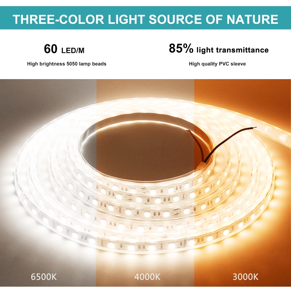 Цветная(RGB) Светодиодные ленты; сезон лето; Licht 5050 DC12V неоновые что-нибудь вкусненькое водонепроницаемый гибкие светодиодный Диодная лента 60 светодиодный s/m IP65 IP68 Светодиодные ленты белый для дома украшения