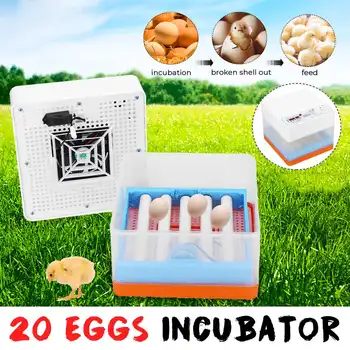 

20 Eggs Electronic Hatching Machine Intelligent Full-automatic Egg Incubator Hatcher For Chicken Duck Transparent EU Plug