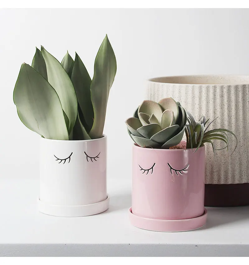 Nordic ins eyes ceramic flowerpot eyelashes cute indoor succulent planting cactus potted desktop decoration home decoration
