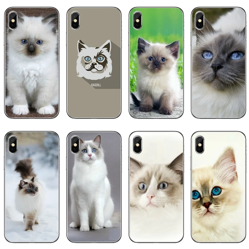 Ragdoll котенок кот Милый для Xiaomi mi A1 A2 Lite 9 8 SE Pro 6 6X5 5S 5x note x 2s max 2 3 Чехол Мягкий чехол