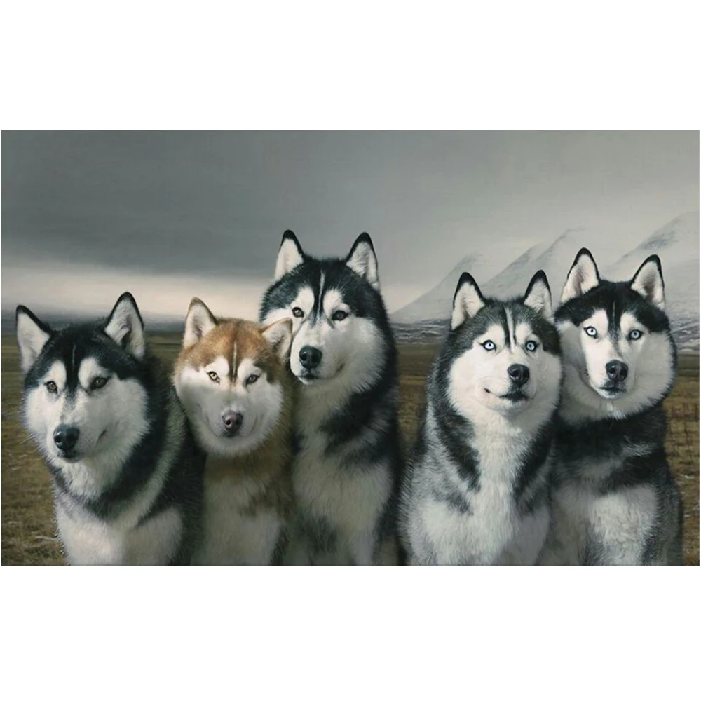 Цвет: желтый Diy Diamond Painting Cross-stitch Animal Dog Mosaic Crystal Cute Husky Kit Diamond Embroidery Picture Rhinestone Crafts New Year - Цвет: Цвет: желтый
