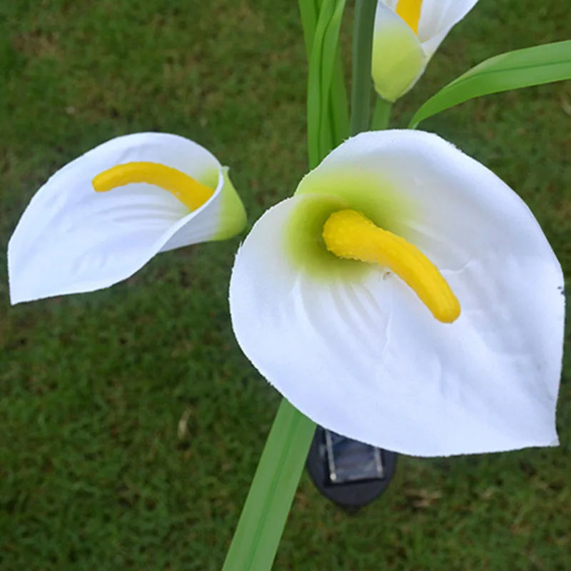 3 головы Солнечный праздничный фонарь Common Calla праздничный фонарь наружный внутренний Декор газон лампа светодиодный праздничный фонарь