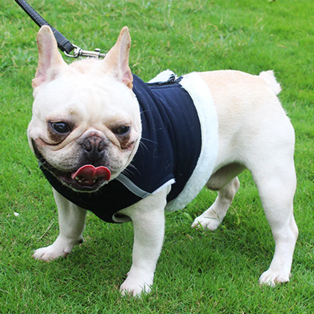 

Winter Pet Dog Clothes Windproof Dog Vest Down Jacket Puppy Small Dogs Clothes Warm Chihuahua Apparel Pet Supplies with Leash