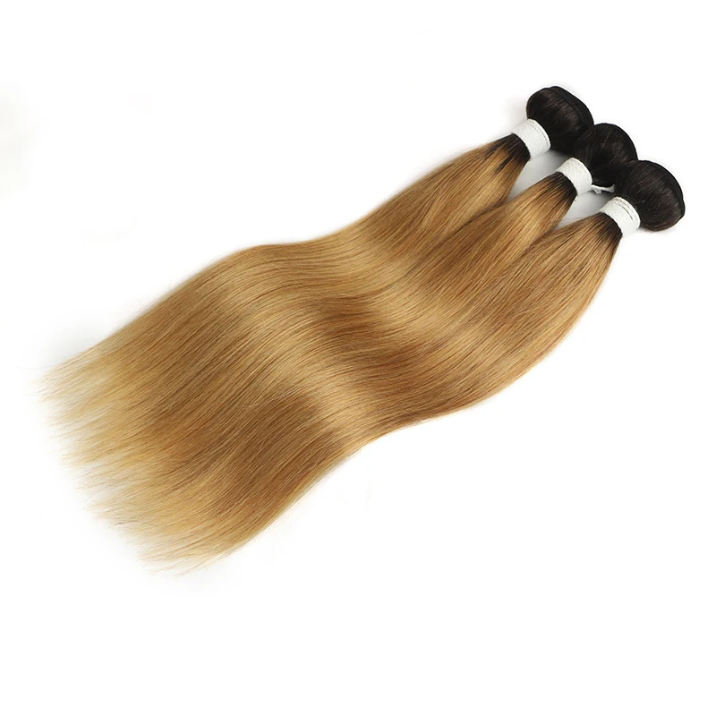 1B 27 Ombre Honey Blonde Brazilian Straight Bundles With Closure SOKU Human Hair Bundles 3 Bundles With Closure Non-Remy