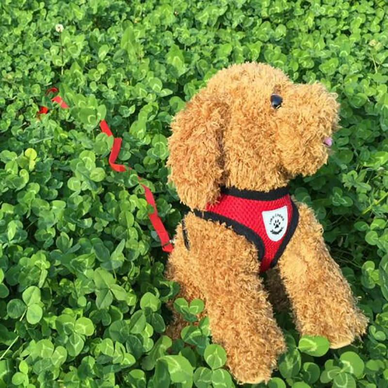 HTB1tTFqXcfrK1RjSszcq6xGGFXaK