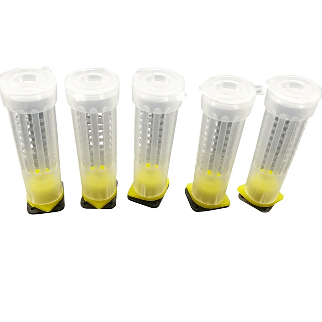 Méhészeti Queen Nevelési Rendszer Az Api -K Előállításához Mellifera -Hoz, Nincs Szükség Műszakban Vándorló Méh Lárvák Szerszám - Image 3