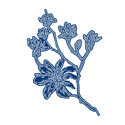 Matrices de découpe en métal au dessus du bord Magnolia, pochoir de décoration pour journal intime, modèle de gaufrage, bricolage, carte de vœux, cadeau 2021 