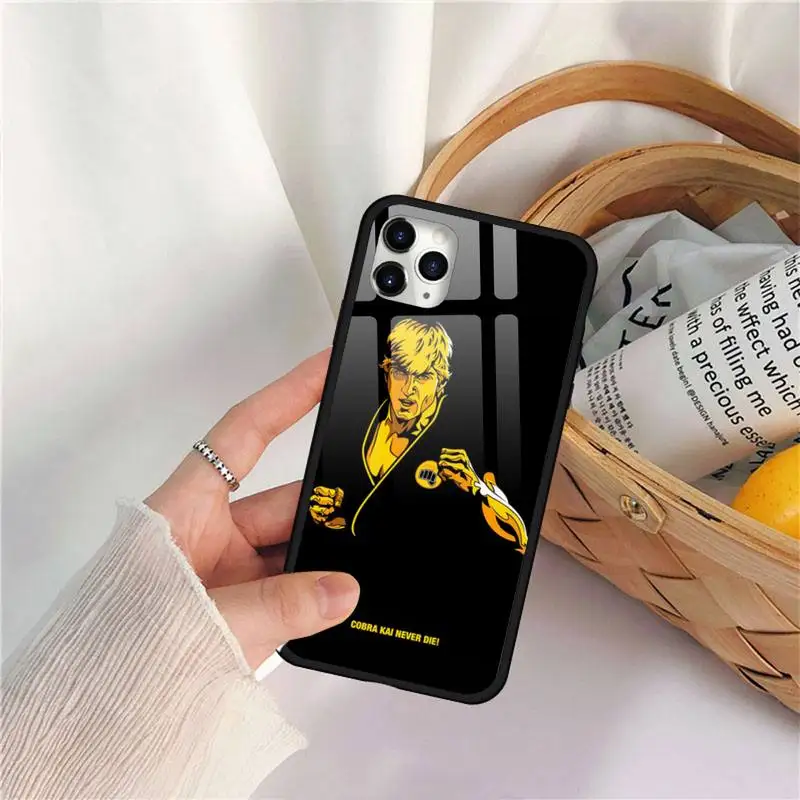 Cobra kai snake American TV Phone Case Tempered glass for iPhone 11 12 mini pro XS MAX 8 7 Plus X XS XR clear phone cases