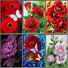 Diamond Embroidery Full Round Flowers 5D Diy Diamond Mosaic Flowers Kit Diamond Painting Cross Stitch Rhinestone Diamond Art ► Photo 1/6