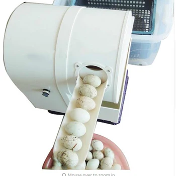 

Easy Operation egg washing machine /egg skin cleaner machine