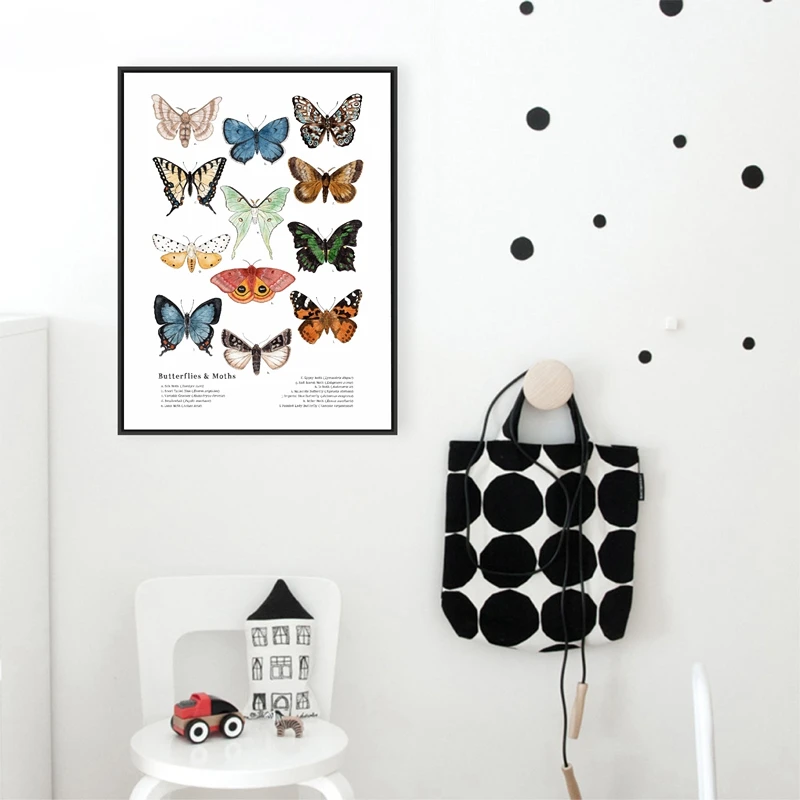 Butterflies-And-Moths-Canvas-Art-Prints-Insect-Nature-Art-Canvas-Painting-Wall-Picture-Educational-Poster-Kindergarten (1)